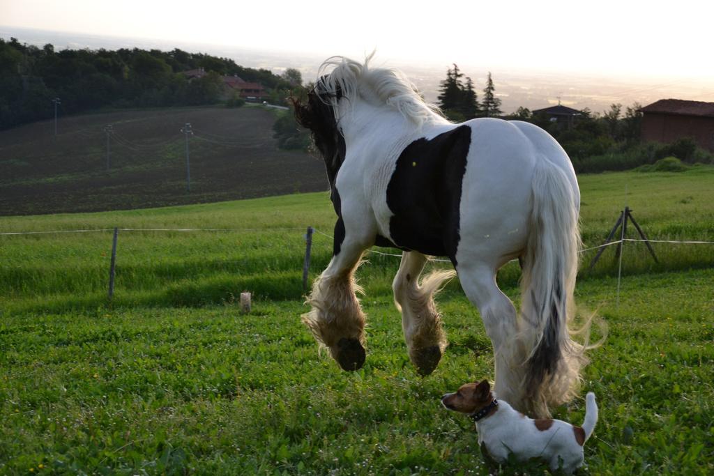 B&B Ca Bianca Dell'Abbadessa San Lazzaro di Savena Exteriér fotografie