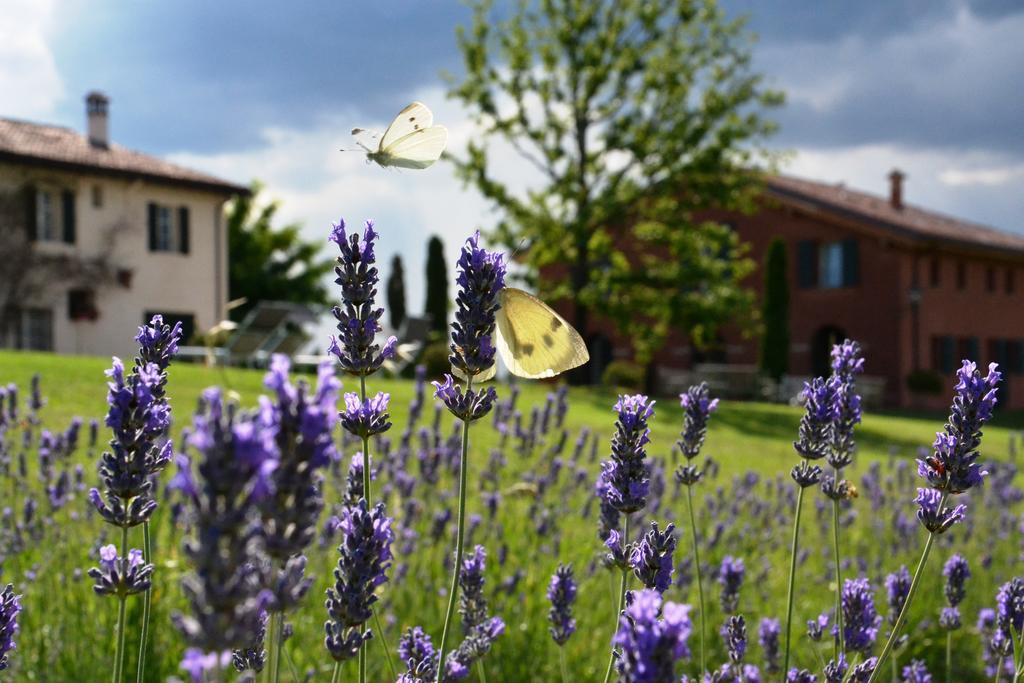 B&B Ca Bianca Dell'Abbadessa San Lazzaro di Savena Exteriér fotografie