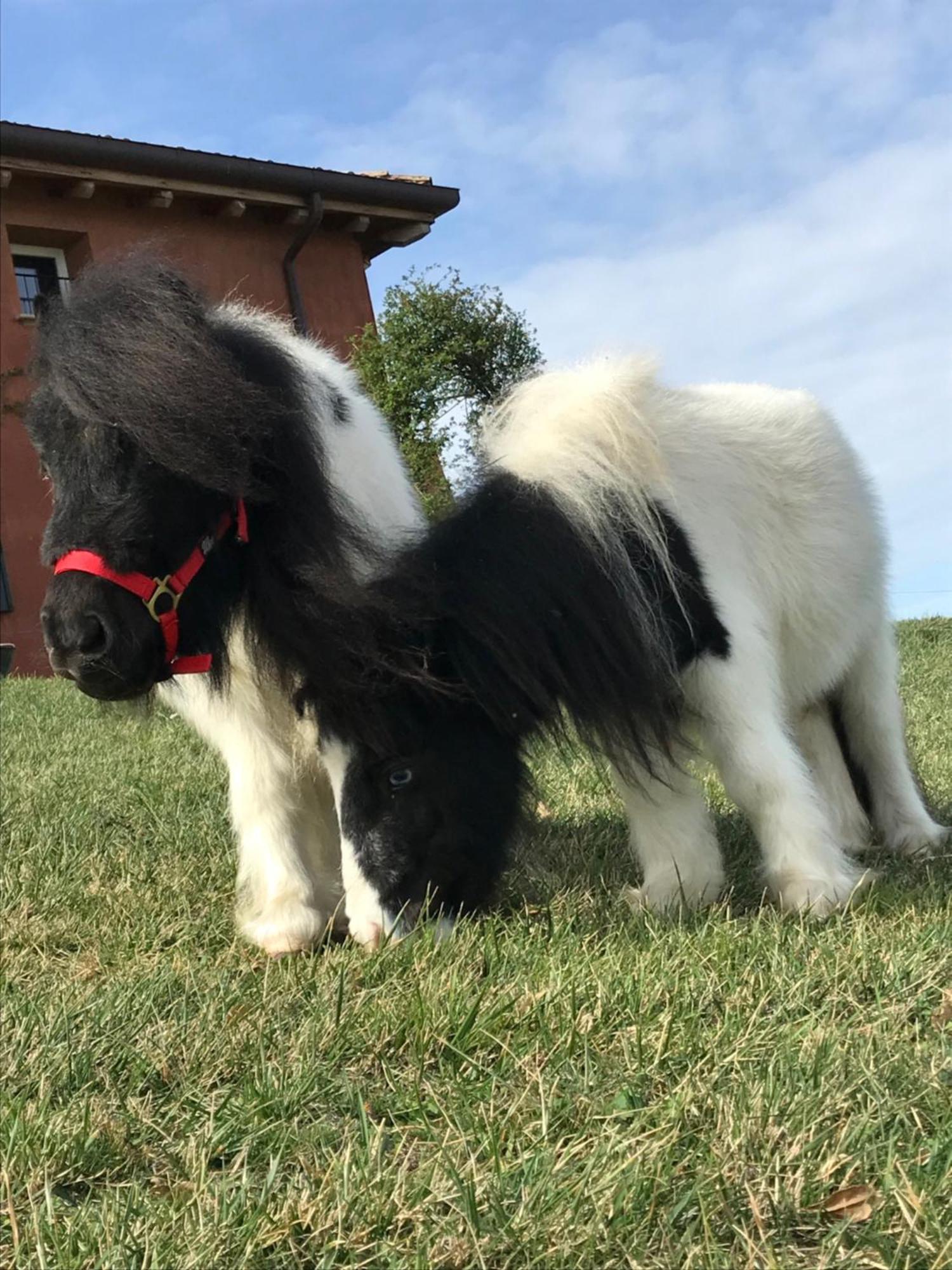 B&B Ca Bianca Dell'Abbadessa San Lazzaro di Savena Exteriér fotografie