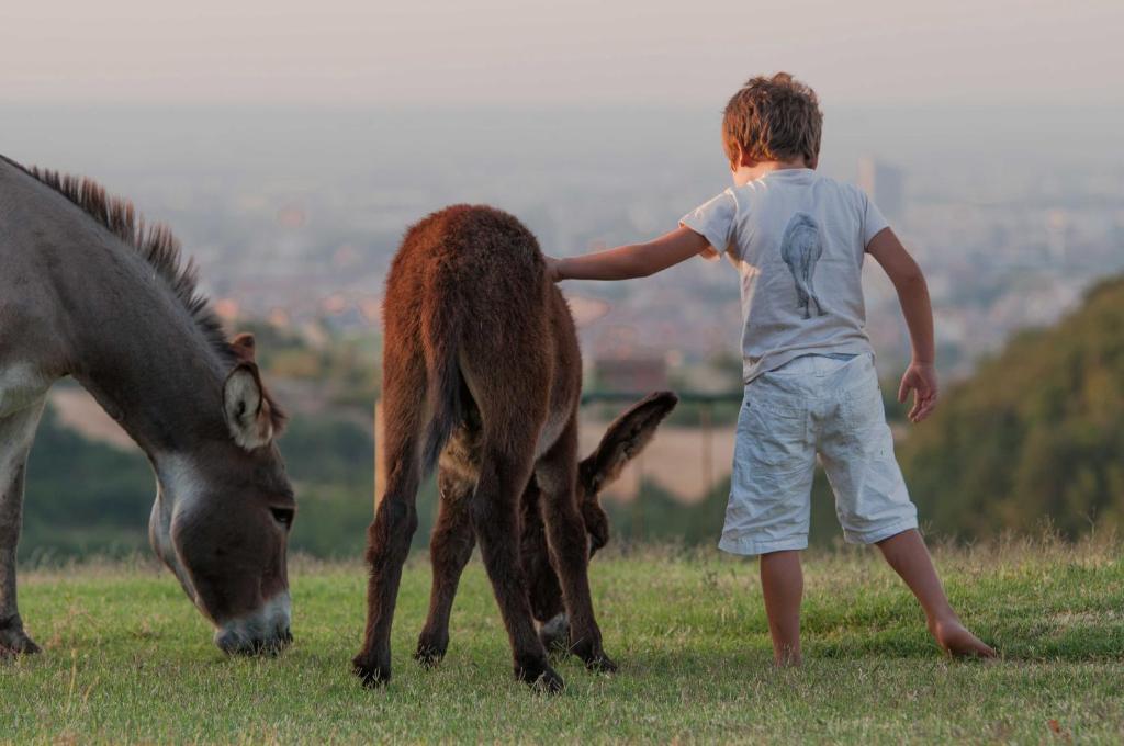 B&B Ca Bianca Dell'Abbadessa San Lazzaro di Savena Exteriér fotografie