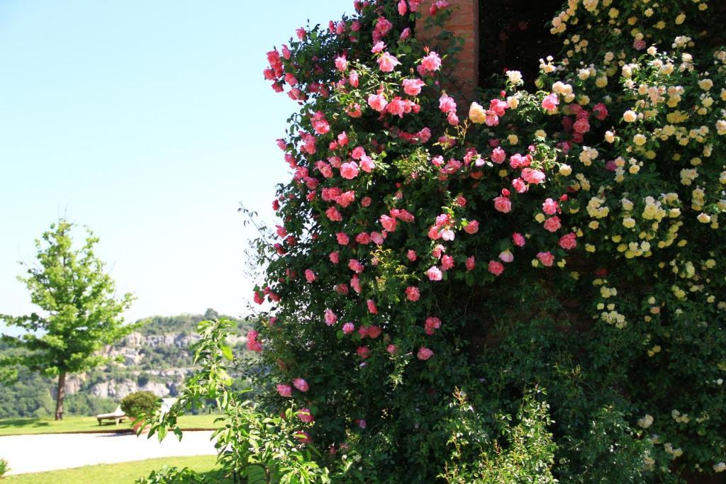 B&B Ca Bianca Dell'Abbadessa San Lazzaro di Savena Exteriér fotografie