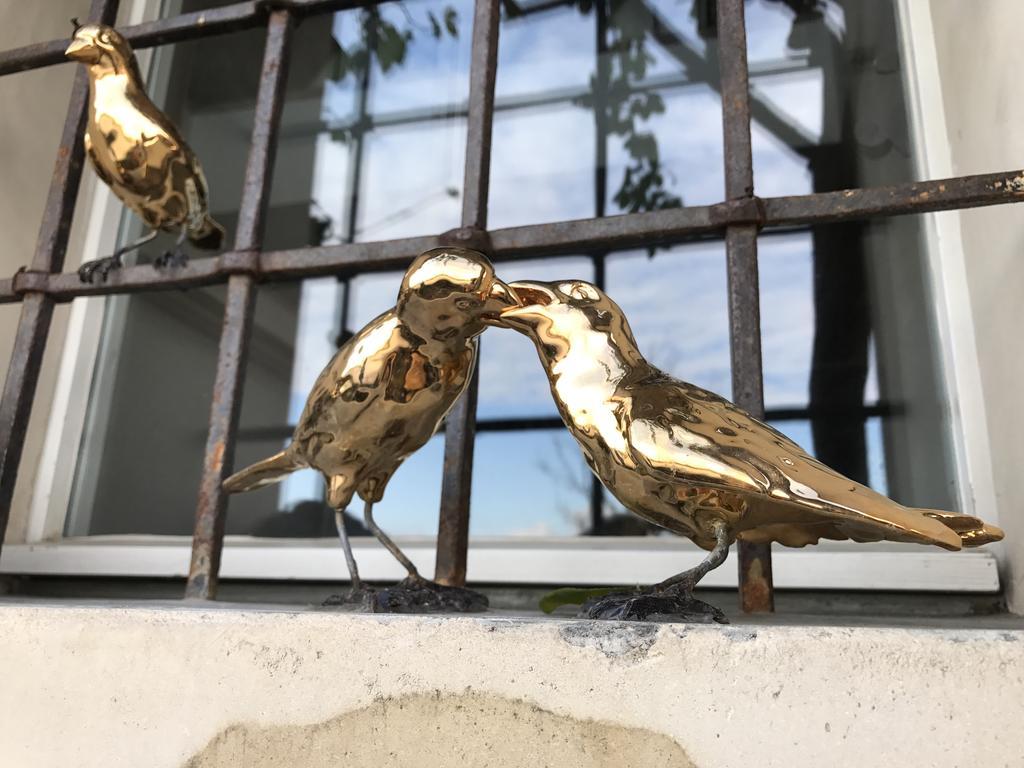 B&B Ca Bianca Dell'Abbadessa San Lazzaro di Savena Exteriér fotografie