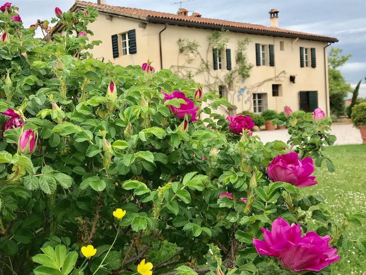 B&B Ca Bianca Dell'Abbadessa San Lazzaro di Savena Exteriér fotografie